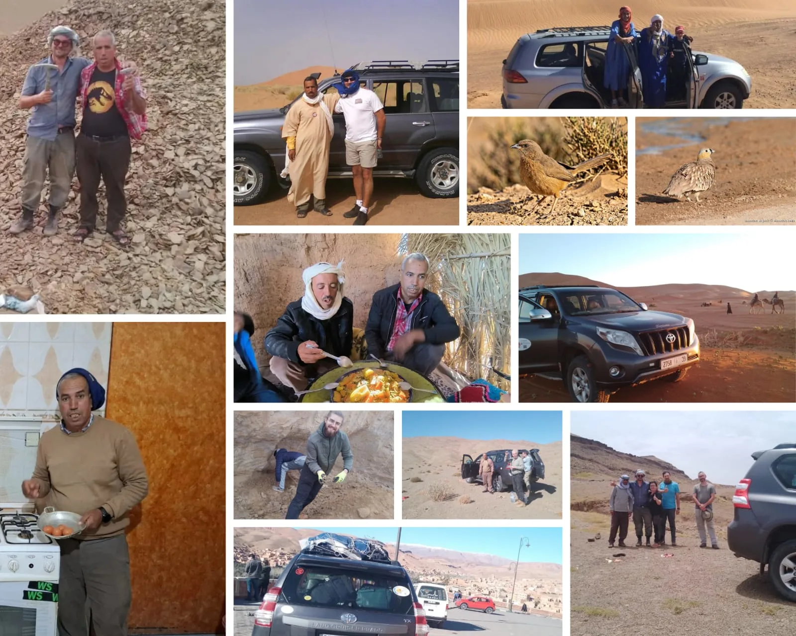 Collage aus Vogelbeobachtern, Allradausflügen und Wüstenvögeln rund um Merzouga