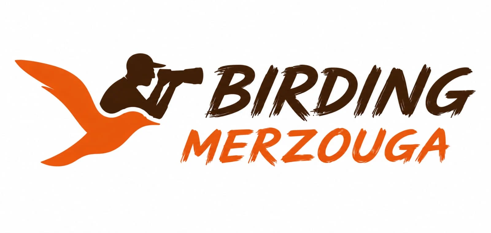 Birding Merzouga